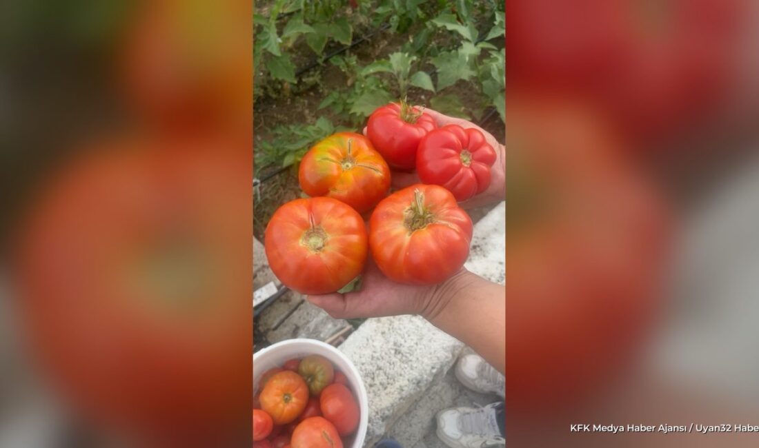 ISPARTA (KFK Ajans) –