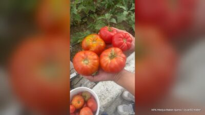 ISPARTA (KFK Ajans) – Isparta’nın