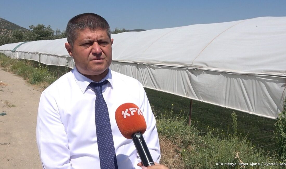 KÜRESEL HABER / SUDE AYDOĞDU