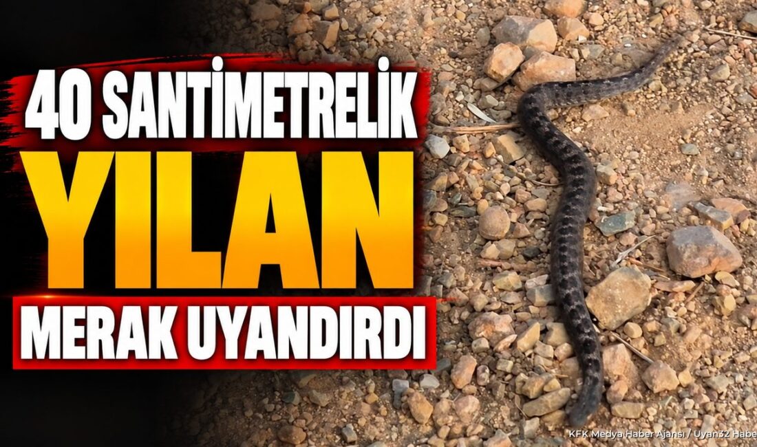 EĞİRDİR (KFK Ajans) –