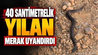 EĞİRDİR (KFK Ajans) – Isparta’nın