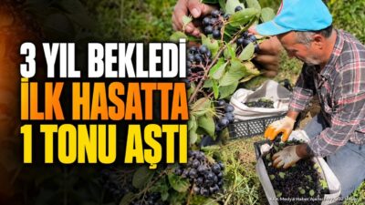 ISPARTA (KFK Ajans) – Isparta’nın