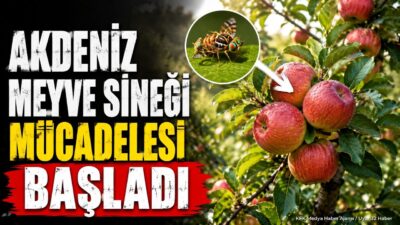 ISPARTA (KFK Ajans) – Isparta