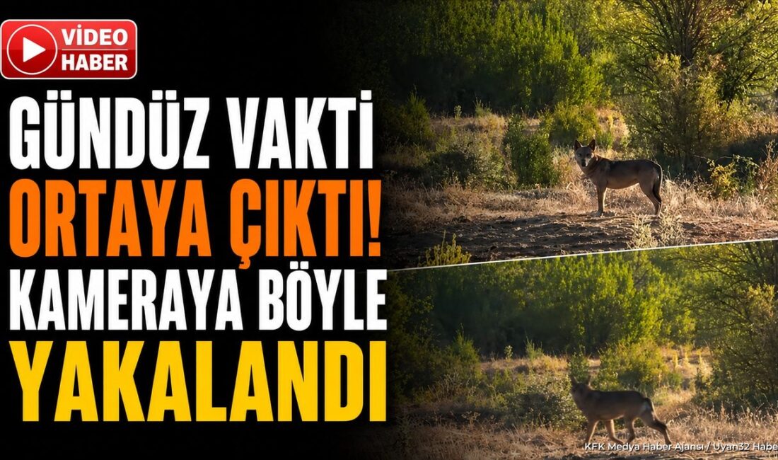 ISPARTA (KFK Ajans) –