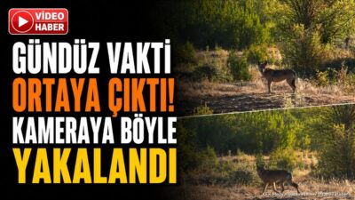 ISPARTA (KFK Ajans) – Isparta’nın