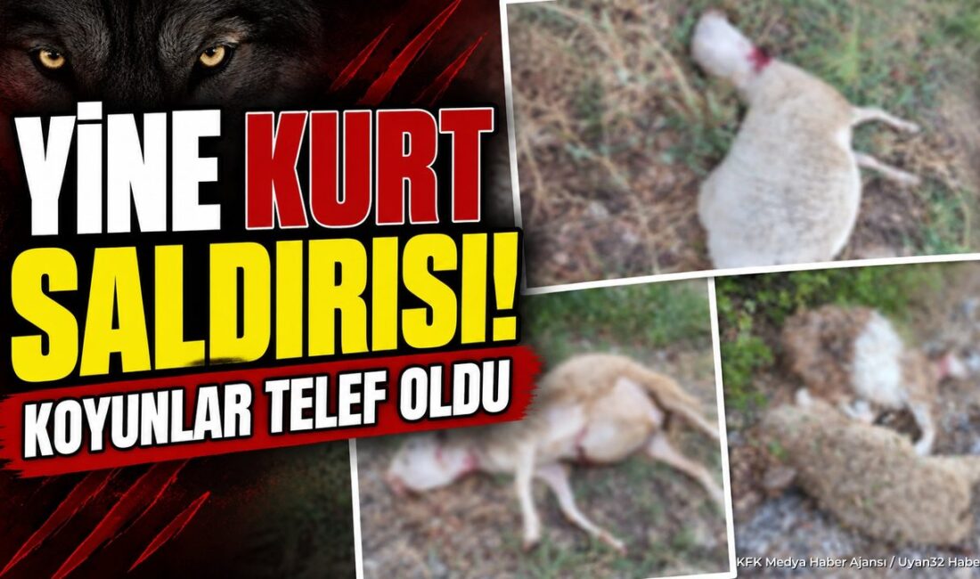 ISPARTA (KFK Ajans) –