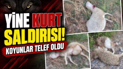 ISPARTA (KFK Ajans) – Isparta’nın