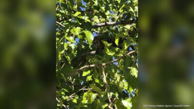 ISPARTA – Isparta’da bir ilkokulun