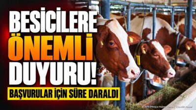 ISPARTA – Isparta’nın Şarkikaraağaç ilçesinde