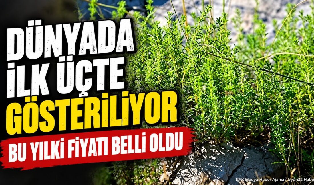 Dünyada İlk Üçte Gösteriliyor: Bu Yılki Fiyatı Belli Oldu