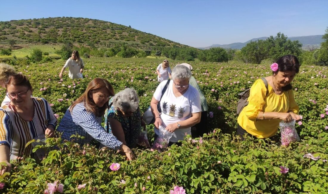 ISPARTA (KFK Ajans) Gülbirlik