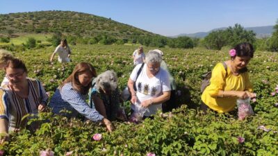 ISPARTA (KFK Ajans) Gülbirlik Yönetim