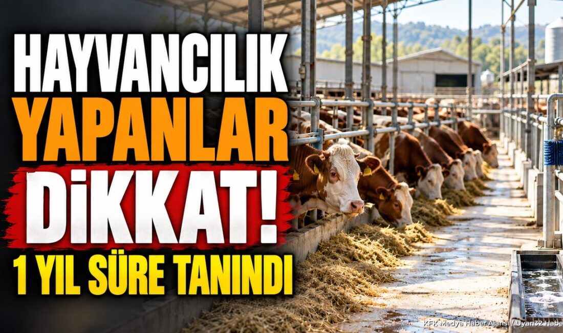 YURTTAN (KFK Ajans) –
