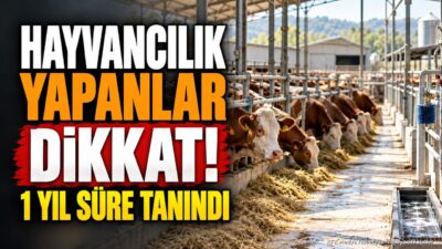 YURTTAN (KFK Ajans) – Türkiye’deki