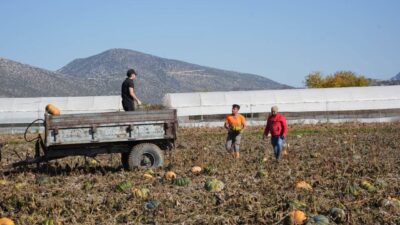 ISPARTA – Türkiye’nin önemli tarım