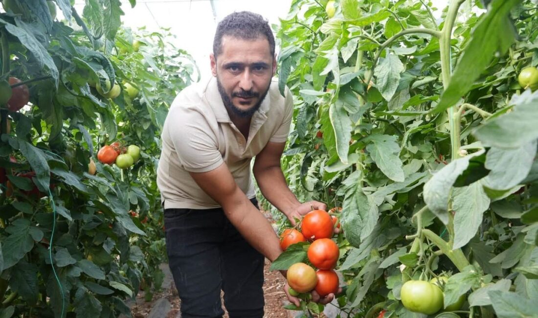 ISPARTA (KFK Ajans) –