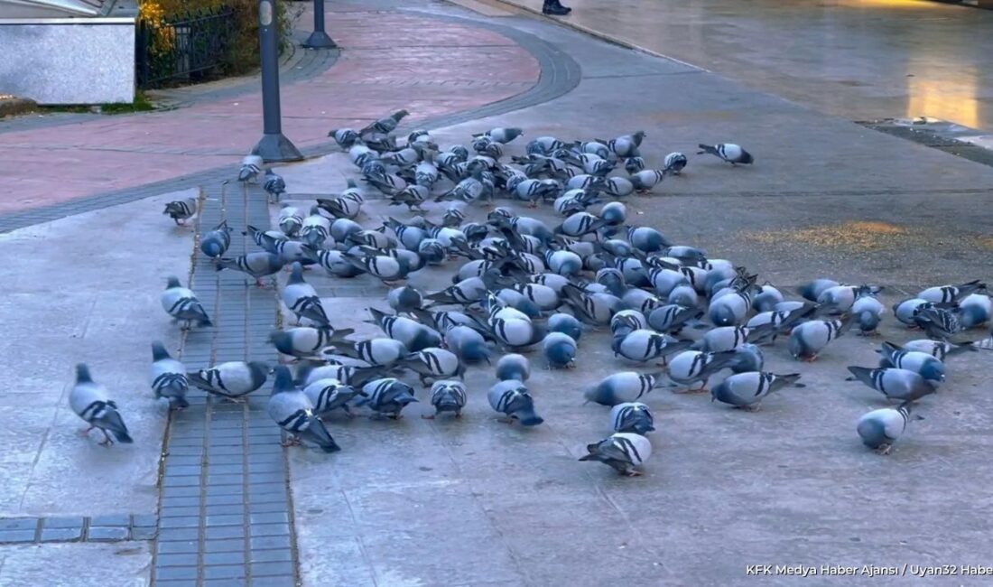 ISPARTA (KFK Ajans) –