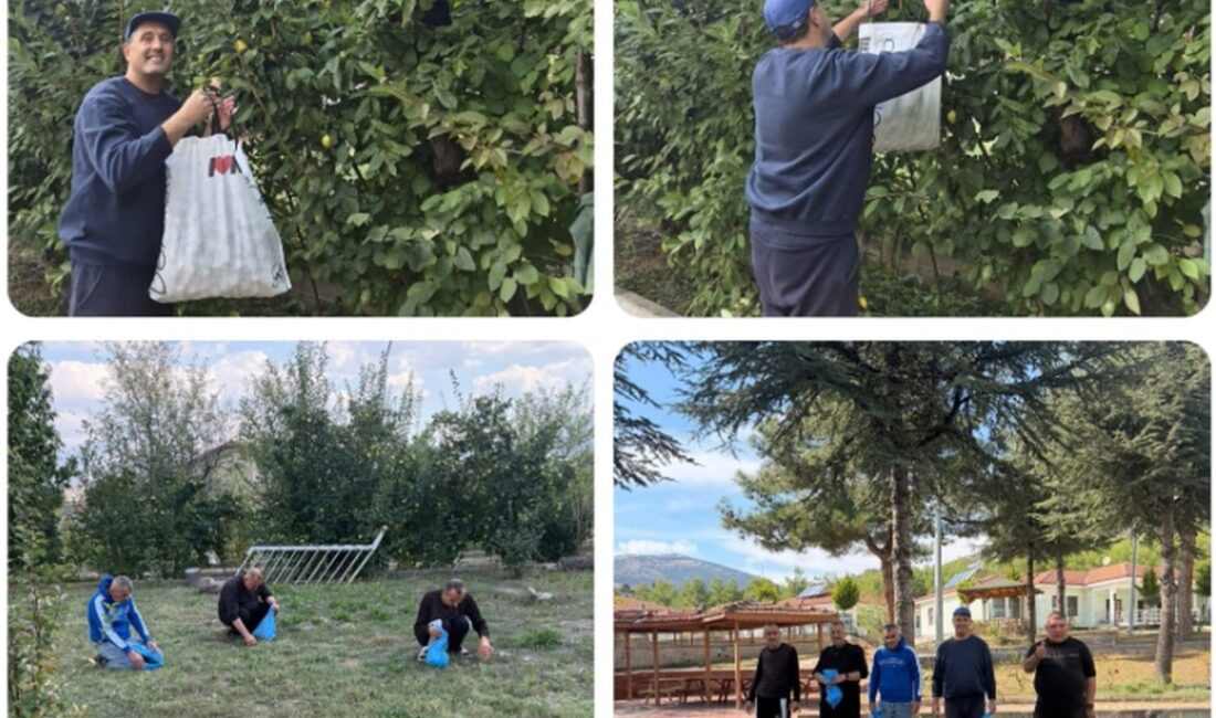 ISPARTA (KFK Ajans) –