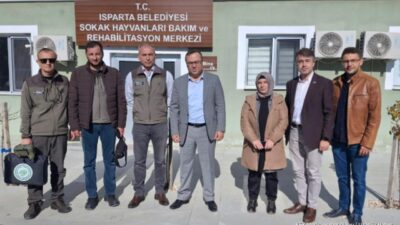 ISPARTA – Isparta’da sahipsiz sokak