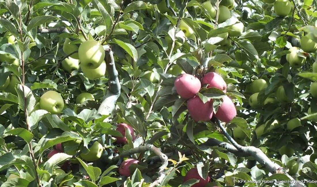 ISPARTA (KFK Ajans) –