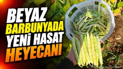 Isparta’nın merkeze bağlı Küçükgökçeli köyünde,