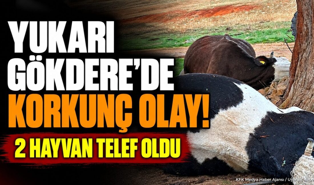 ISPARTA (KFK Ajans) –