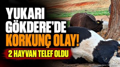 ISPARTA (KFK Ajans) – Isparta’nın