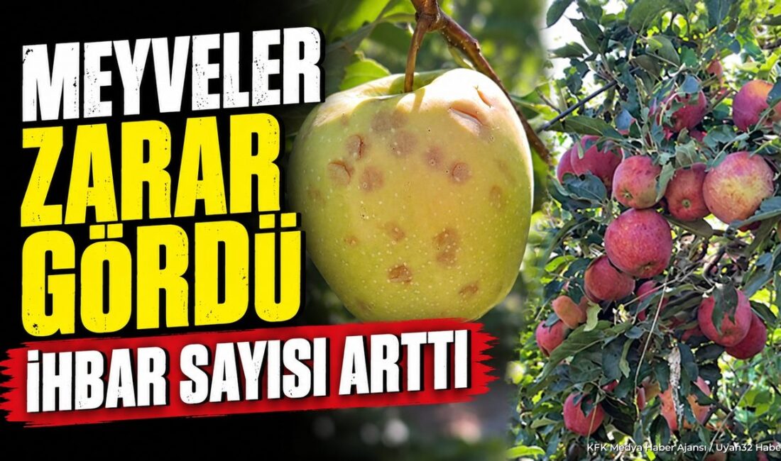ISPARTA (KFK Ajans) –