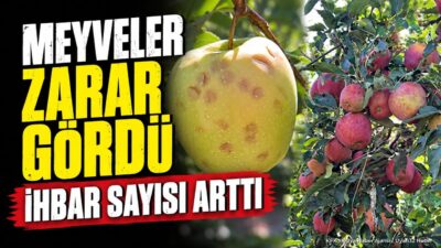 ISPARTA (KFK Ajans) – Türkiye’nin