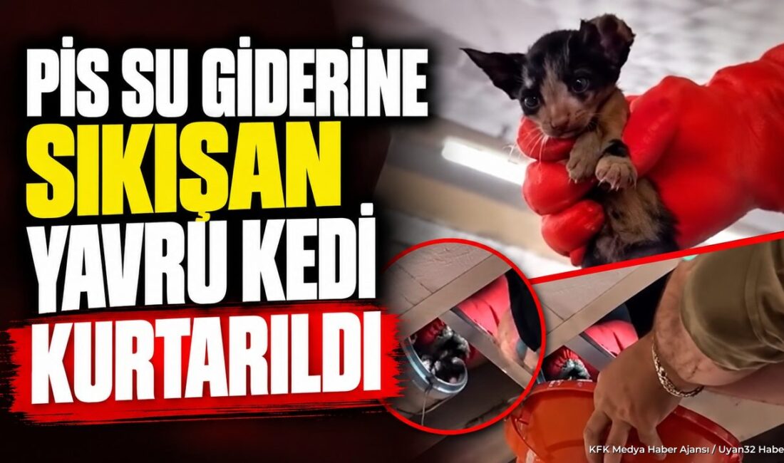 ISPARTA (KFK Ajans) –