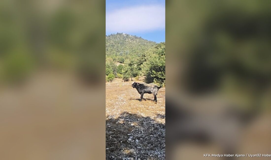 EĞİRDİR (KFK Ajans) –