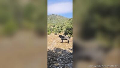 EĞİRDİR (KFK Ajans) – Isparta’nın